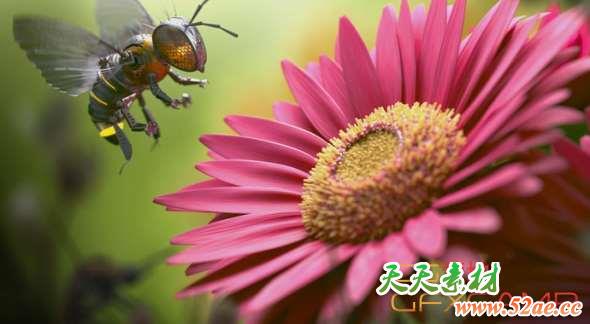 Vray渲染器完全破解版 V-Ray 3.70.01 For 3DS Max 2013/2014/2015/2016/2017/2018/2019/2020-天天素材网