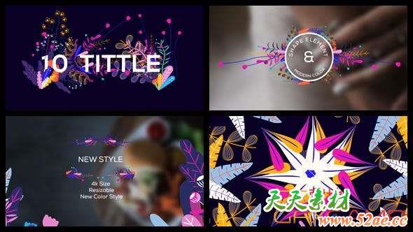 AE模板-时尚植物花朵文字标题包装动画 Modern Floral Pack-天天素材网