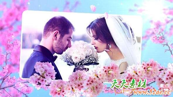 AE模板-花朵树枝婚礼相册照片开场 Wedding Flowers Slideshow-天天素材网