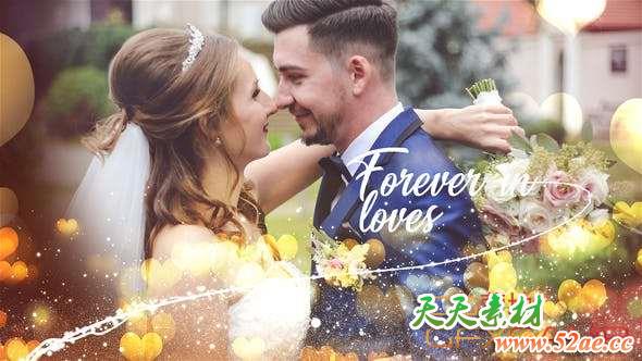 AE模板-浪漫爱心粒子婚礼照片相册片头 Wedding Slideshow-天天素材网