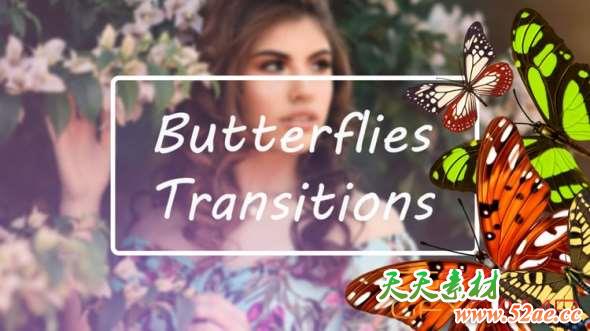 Butterflies Transitions 227558