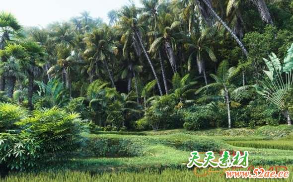 热带植物树木3D模型 Maxtree – Plant Models Vol. 7-天天素材网