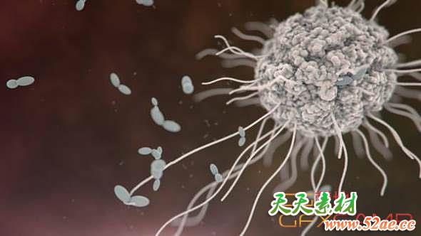 3DS MAX网格粒子流体模拟插件破解版 ThinkBox Frost MX V2.3.0 For 3DS Max 2017 – 2020-天天素材网