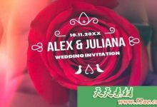 PR模板 迷你简单最小和豪华婚礼标题 Minimal & Luxury Wedding-天天素材网