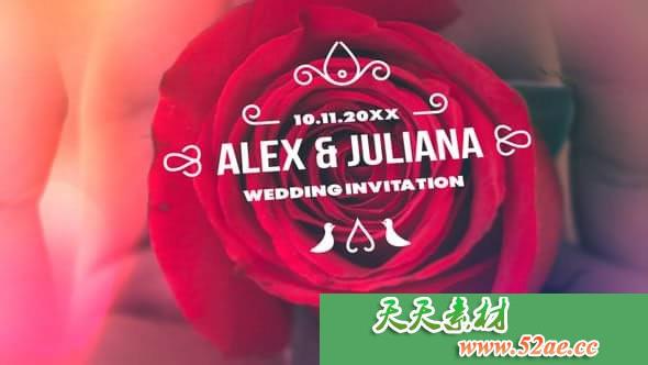 PR模板 迷你简单最小和豪华婚礼标题 Minimal & Luxury Wedding-天天素材网