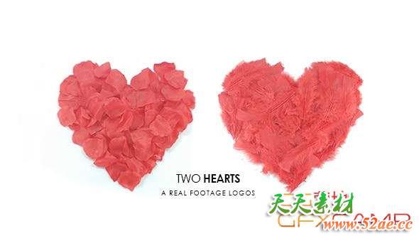 Apple Motion/FCPX模板插件-玫瑰花瓣羽毛Logo动画 Two Hearts Logos-天天素材网