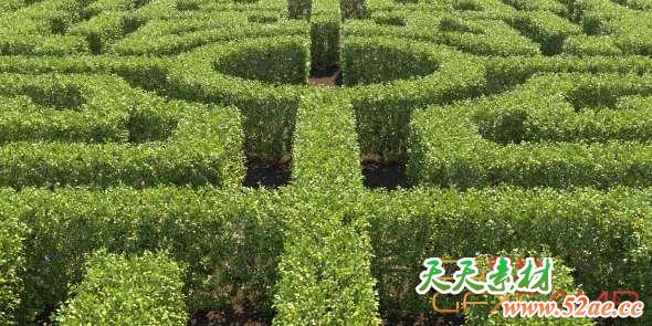3DS MAX植物树篱栅栏生成插件破解版 Happy Digital AutoHedge 1.00 for 3ds Max 2016 – 2020-天天素材网