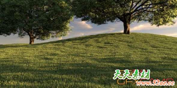 3DS MAX草地自动生成插件破解版 Happy Digital AutoGrass 1.50 for 3ds Max 2013 – 2020-天天素材网