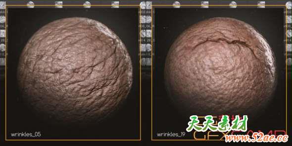 人物皮肤贴图材质素材 200 Human Skin Textures-天天素材网
