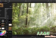 Apple Motion v5.4.5 中文版/英文版/多语言破解版-天天素材网