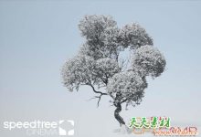 三维植物树木生长建模软件 SpeedTree v8.4.2 Cinema + Unity + UE4 + Games Indie Win破解版-天天素材网