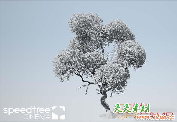 SpeedTree Cinema 8.0.2 Win Mac