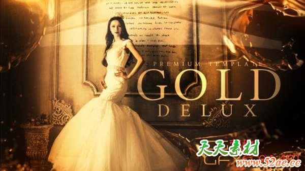 AE模板-金色奢华婚礼照片开场 Gold Delux-天天素材网