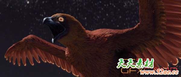 Houdini鸟类羽毛制作插件+教程 Gumroad – Feather Tools For Houdini FX-天天素材网