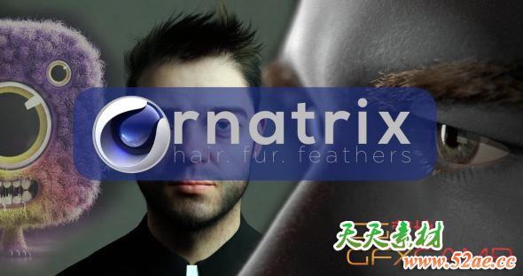 C4D头发毛发羽毛模拟插件 Ornatrix v0.2.7.21573 for Cinema 4D R19-R21 Mac破解版-天天素材网