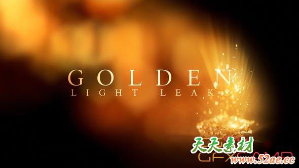 AE模板-金色光线人物宣传片头 Golden Light Leaks-天天素材网