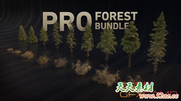灌木植物树木3D模型 Gumroad – ALTER 49 – PRO Forest Bundle-天天素材网