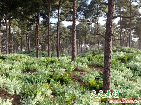 森林植物场景3D模型 Nouvelle Mesure Lab – Caledonian Forest Pack (3DS MAX格式)-天天素材网