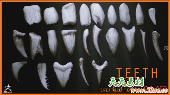 牙齿模型笔刷预设 ArtStation – TEETH – Zbrush 24 Assorted Teeth IMM Brush-天天素材网