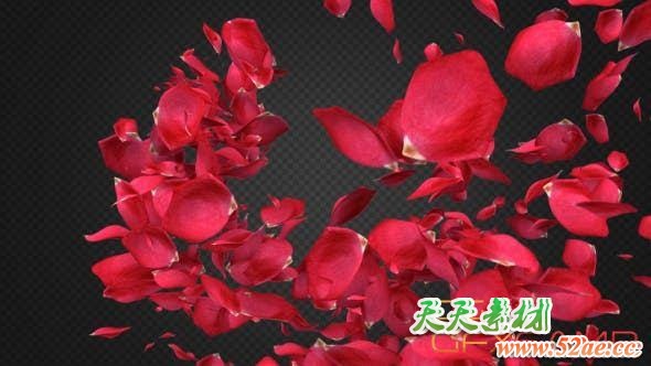 Rose Petal Transitions Pack 21294817