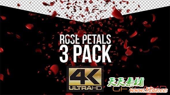 3组玫瑰花瓣撒落带通道4K视频素材 Rose Petals-天天素材网