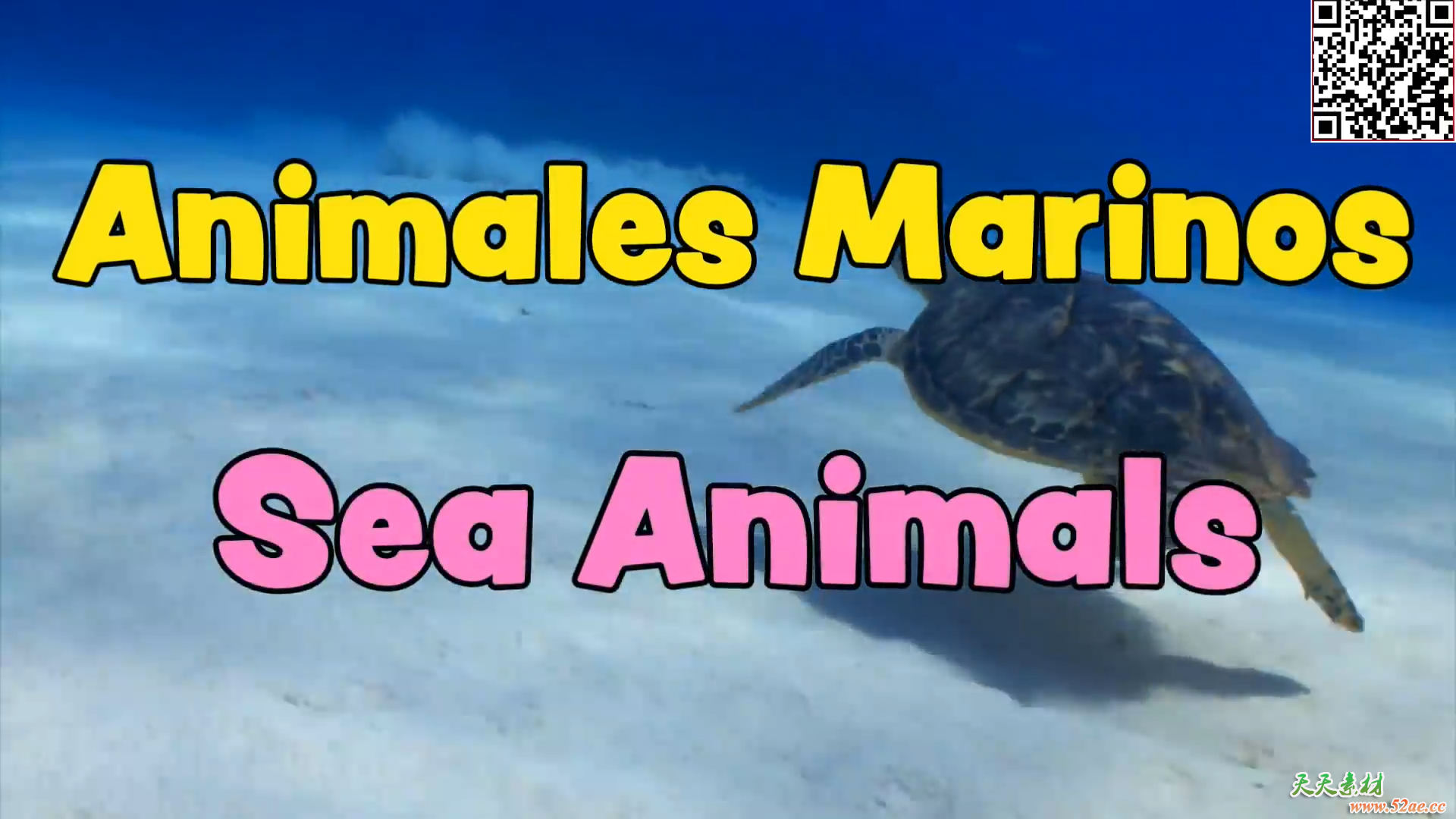 西班牙语 学西班牙语单词  幼儿儿童有趣西语单词动画双语 高清视频网盘链接下载-天天素材网