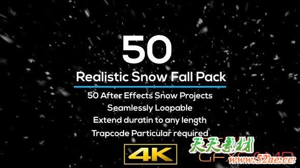 AE模板-下雪飘雪花工程动画 50 Realistic Snow Falls Project Pack-天天素材网