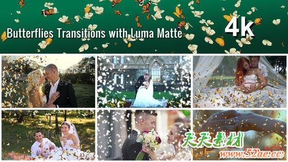 Butterflies Transition with Luma Matte – 7 Variations