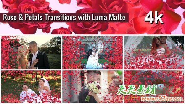 玫瑰花瓣遮罩转场视频素材 Rose and Petals Transition with Luma Matte – 7 Variations – 4k-天天素材网