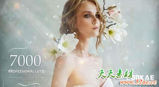 500个梦幻童话时尚婚礼情感食物发光森林爱情LUTS调色预设 7000+ Professional LUTs FCPX插件-第1张