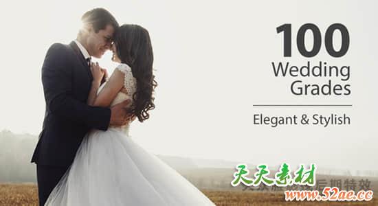 100个MV婚礼电影短片LUTS调色预设 Wedding Color Corrections FCPX插件-第1张