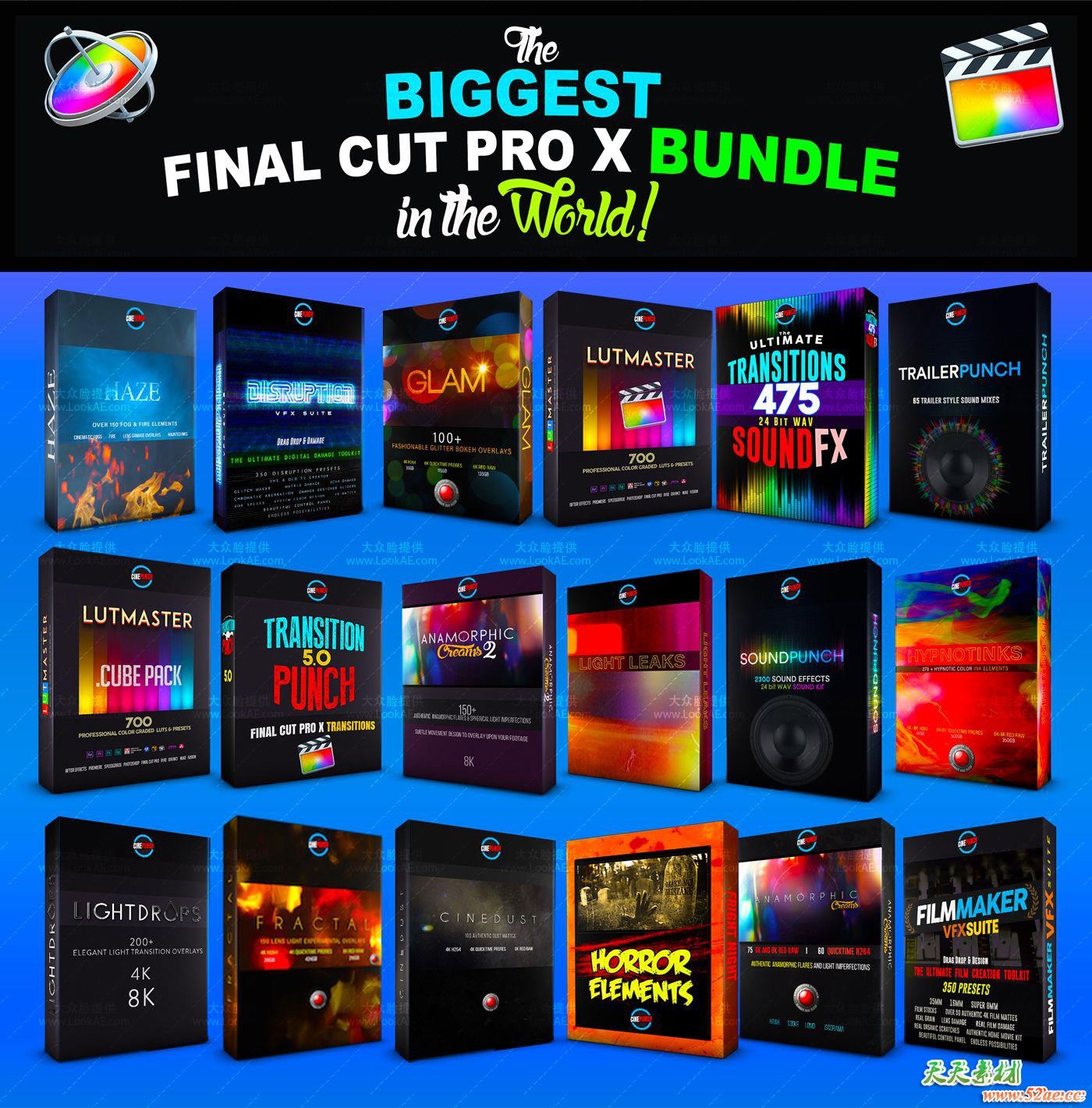 CINEPUNCH FCPX 12.jpg