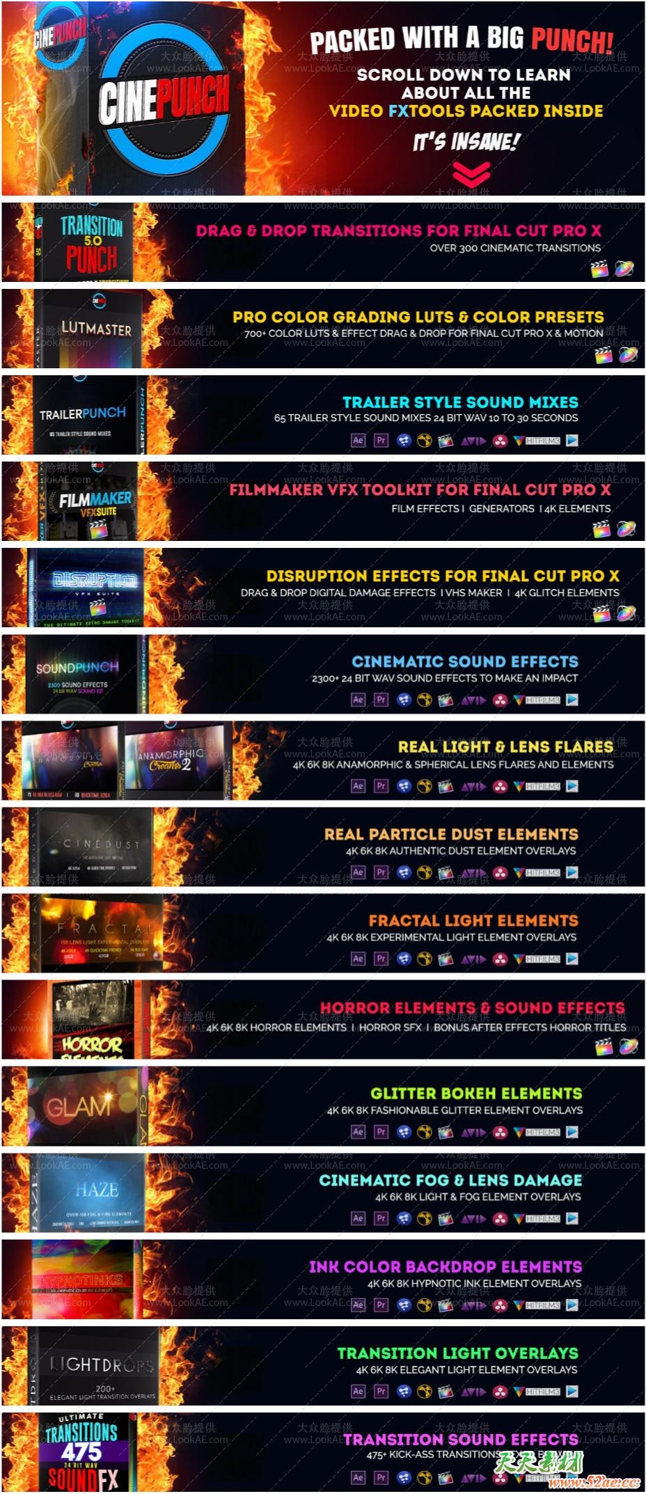 CINEPUNCH FCPX 122.jpg