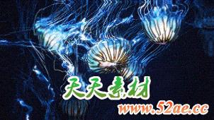 VHS Studio Pack (10).gif