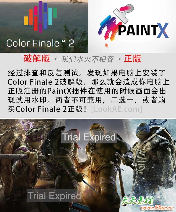 PAINTX.jpg
