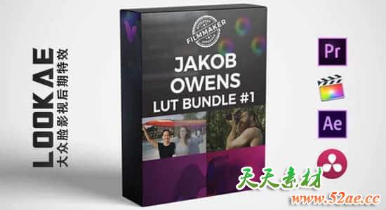 18个高品质多格式LUTs调色预设（AE/PR/FCPX/PS/达芬奇/OFX） FCPX插件-第1张