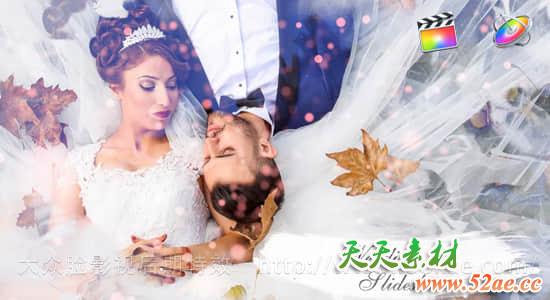 FCPX模板插件+Apple Motion模板：浪漫唯美婚礼粒子水墨遮罩照片相册片头 FCPX插件-第1张
