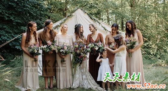 5组温暖柔和欧美风格婚LUTs调色预设 WIR - Timbre FCPX插件-第1张