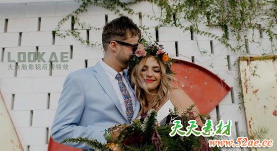 6组甜美柔和欧美风格婚礼LUTs调色预设 Dolce LUT Collection FCPX插件-第1张