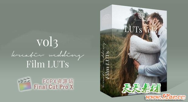 8组欧美风格婚礼LUT调色预设 Kreativ Wedding LUTs Vol. 3 FCPX插件-第1张