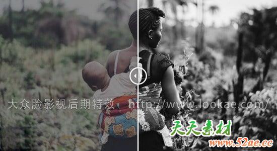 16种黑白风格专业电影LUTs调色预设 Black White Films Win/Mac