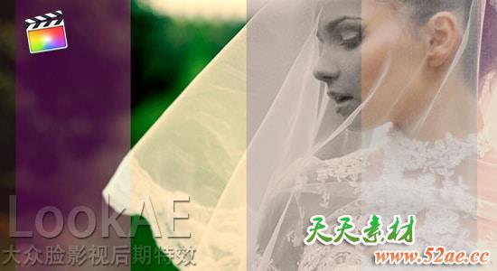 Final Cut Pro X 调色插件：多种风格婚礼调色预设 ProWedding FCPX