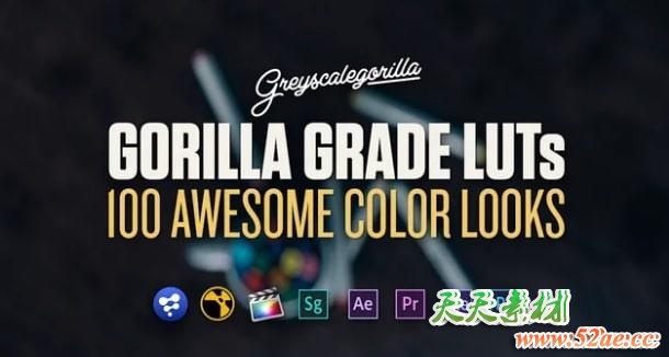 灰猩猩出品100种 LUTs 电影调色预设 GreyScaleGorilla - Grade LUTs