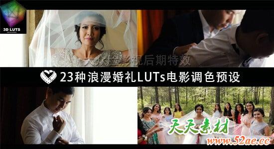 23种浪漫唯美婚礼 LUTs 电影调色预设 LAPARDIN WEDLUTS