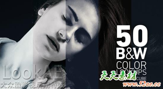 50组黑白风格LUTs电影风格调色预设  Black and White Color Lookups