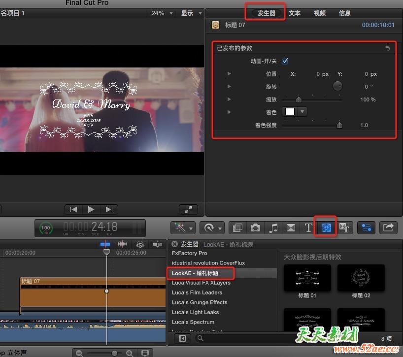 FCPX插件：8组漂亮时尚花纹生长婚礼名字日期标题展示动画 LookAE - 婚礼标题 FCPX插件-第3张