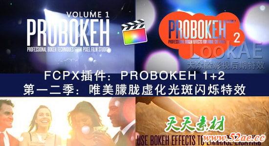 FCPX插件：第一二季 唯美朦胧虚化光斑闪烁特效 PFS - PROBOKEH 1+2