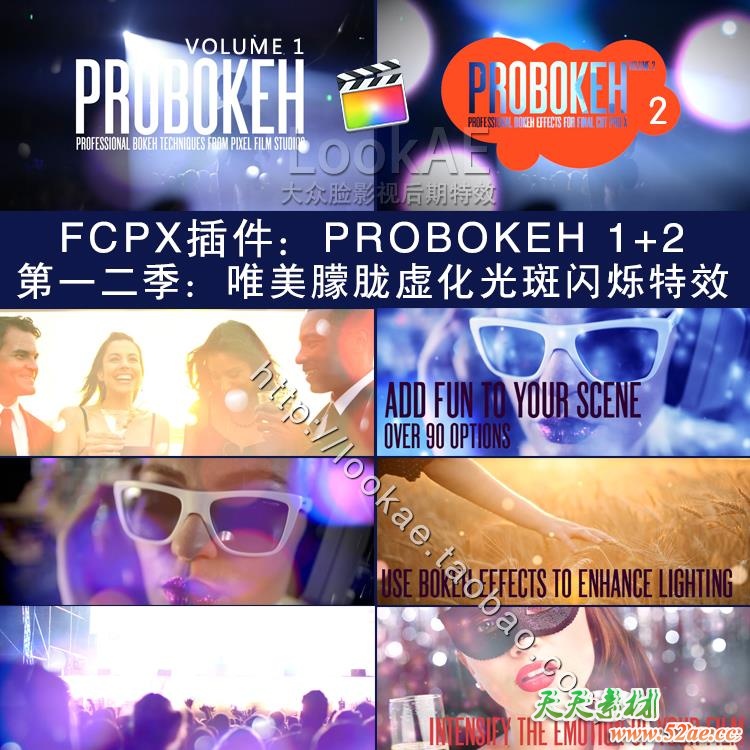 FCPX插件：第一二季 唯美朦胧虚化光斑闪烁特效 PFS - PROBOKEH 1+2 FCPX插件-第2张