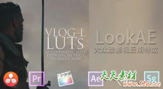30组 LUTs 专业电影调色预设 GH4 VLog-L LUTs