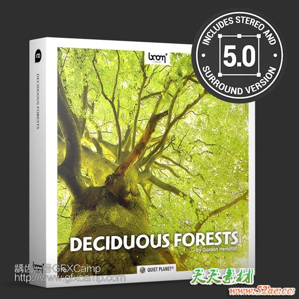 大自然雨林森林鸟叫环境环绕立体无损音效-天天素材网